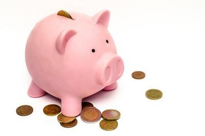 HRMS payroll module - piggy bank HRMS payroll module - piggy bank