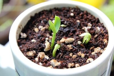 HRMS World - HRMS for High Growth